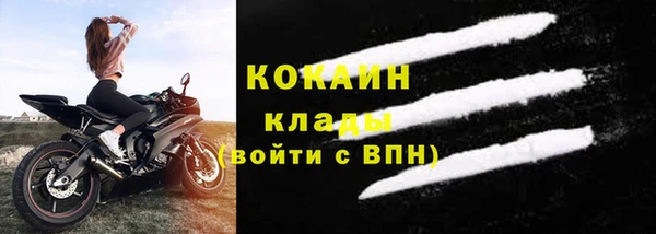 крисы Инта
