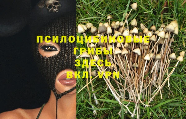 а пвп мука Приозерск