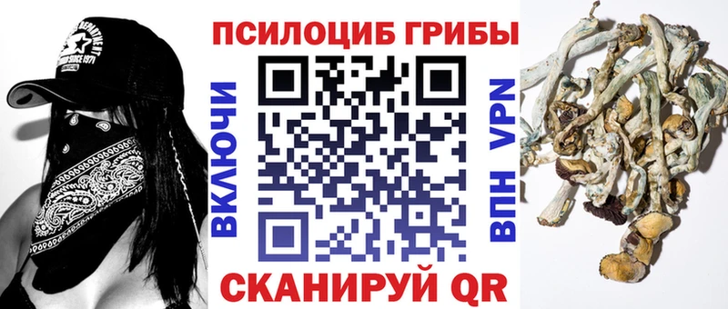 хочу Лангепас Галлюциногенные грибы мицелий